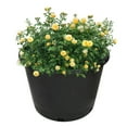 thumbnail image 3 of YSMN 16.1” x 13.2” x 11.8” Round Black HDPE Nursery Pots with Drainage Holes (5 Count), 3 of 10