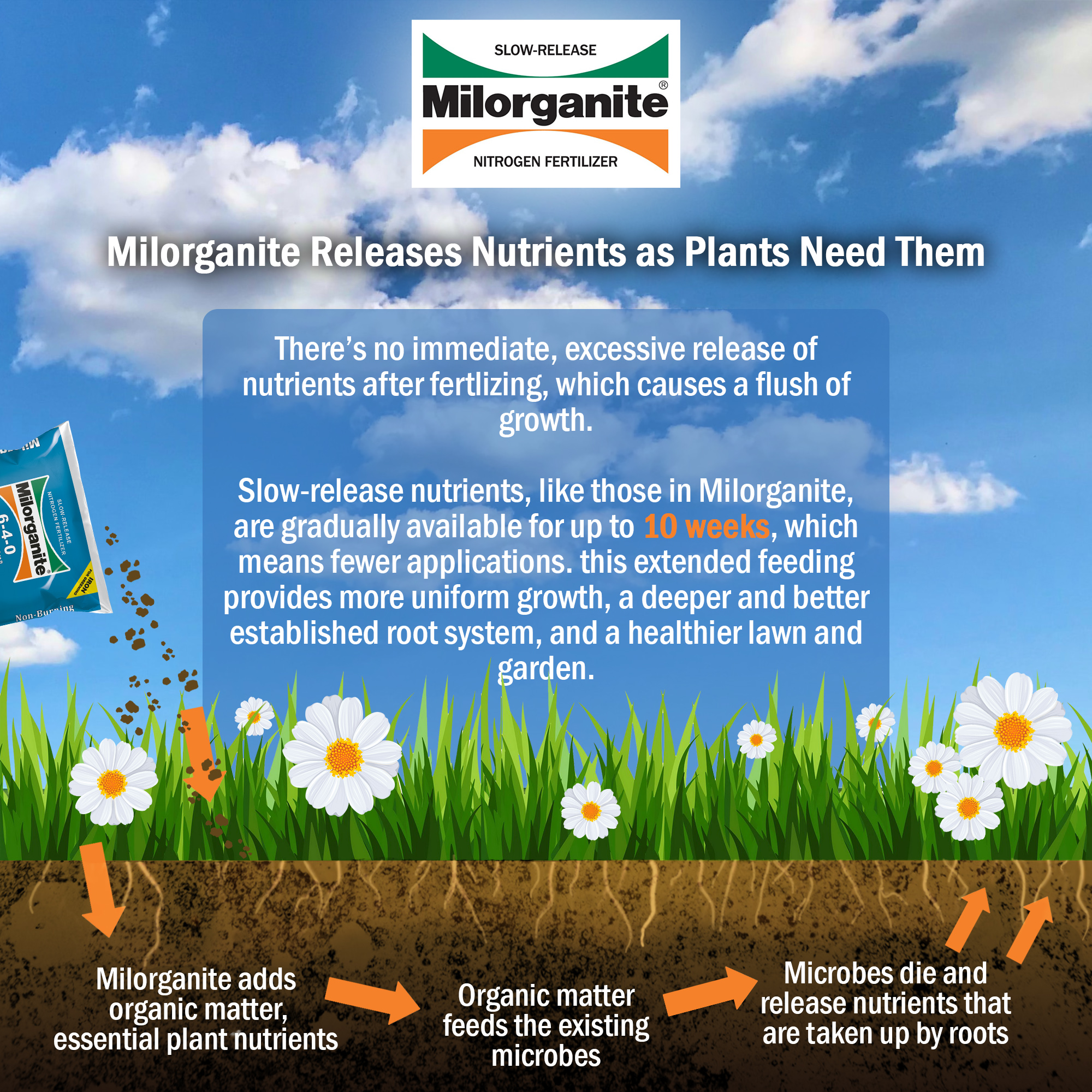 Milorganite Long Lasting All Purpose Lawn Food, 6-4-0 Fertilizer, 32 lb. - image 3 of 5