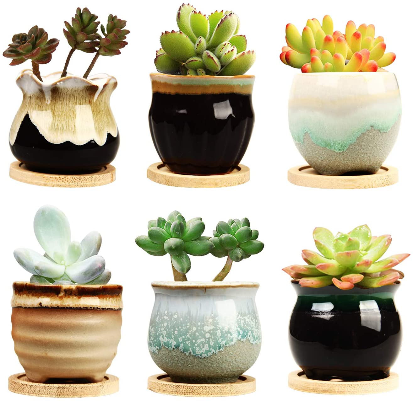 Small Succulent Planter with Drainage T4U Ceramic Succulent Pots 2.5 Inch Round Set of 6 with Trays Marbling Porcelain Herbs Cactus Container for Home and Office Decor 