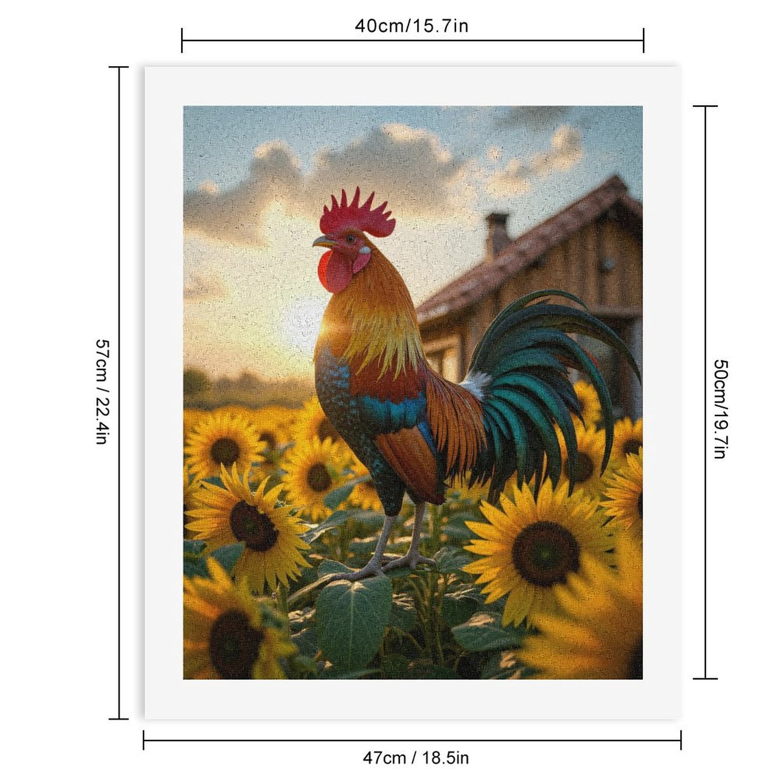 Paint by Numbers Kit for Adults, Sunrise Rooster Among Sunflowers Paint by Numbers, Easy Paint by Numbers Kit for Adults Beginner, DIY Adult Paint by Number Kits on Canvas, Home Decor