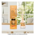 thumbnail image 4 of Difusor Mainstays Vainilla 80 Ml, 4 of 4
