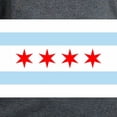 thumbnail image 3 of CafePress - Chicago Flag T Shirt - Women's Traditional Fit Dark T-Shirt, 3 of 4