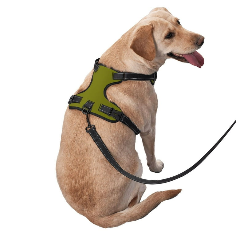 Vsdgher Olive Pattern Dog Harness,No Pull Pet Harness with Soft