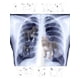 thumbnail image 2 of [100% Cotton] Cotton Short Sleeve i Got that Dog in Me Xray Meme T-Shirt T-shirts for Men Women Streetwear Casual Menswear Top, 2 of 7