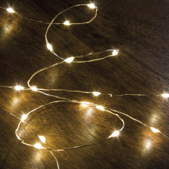 Copper Wire Lights - Battery Operated [Misc.]