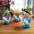 thumbnail image 6 of HemaKayy Decorative Planter Pot Set - Perfect for Small Plants - Colorful Design With Drainage Hole - Ideal for Home and Garden Decor - Set of 8 - Unique Marble Texture, 6 of 6