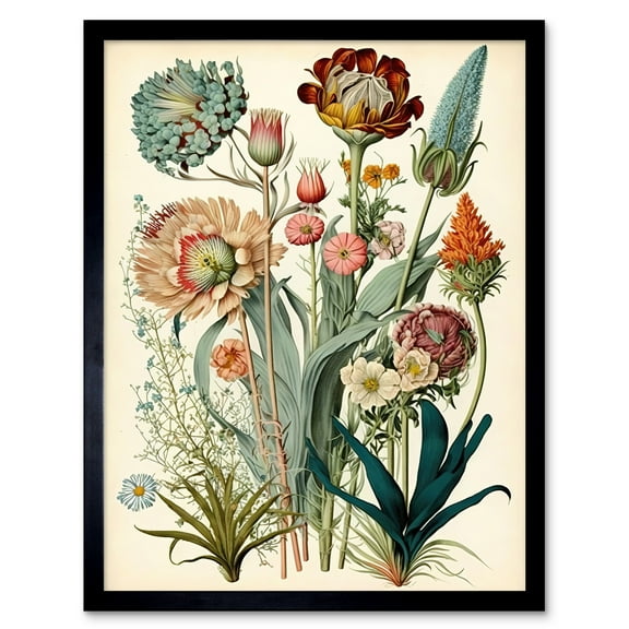 Ernst Haeckel Inspired Vintage Botanical Plant Study Modern Watercolour Painting Illustration Art Print Framed Poster Wall Decor 12x16 inch