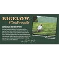 thumbnail image 5 of 2X-Bigelow Green Tea with Peach Tea Bags - 20 ct, 5 of 5