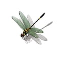 thumbnail image 2 of Pekkaxy Dragonfly Car Vinyl Decal, 3D Car Stickers, Realistic Dragonflys Car Accessories for Vehicle Windows, Bumpers and Laptops, 2 of 9