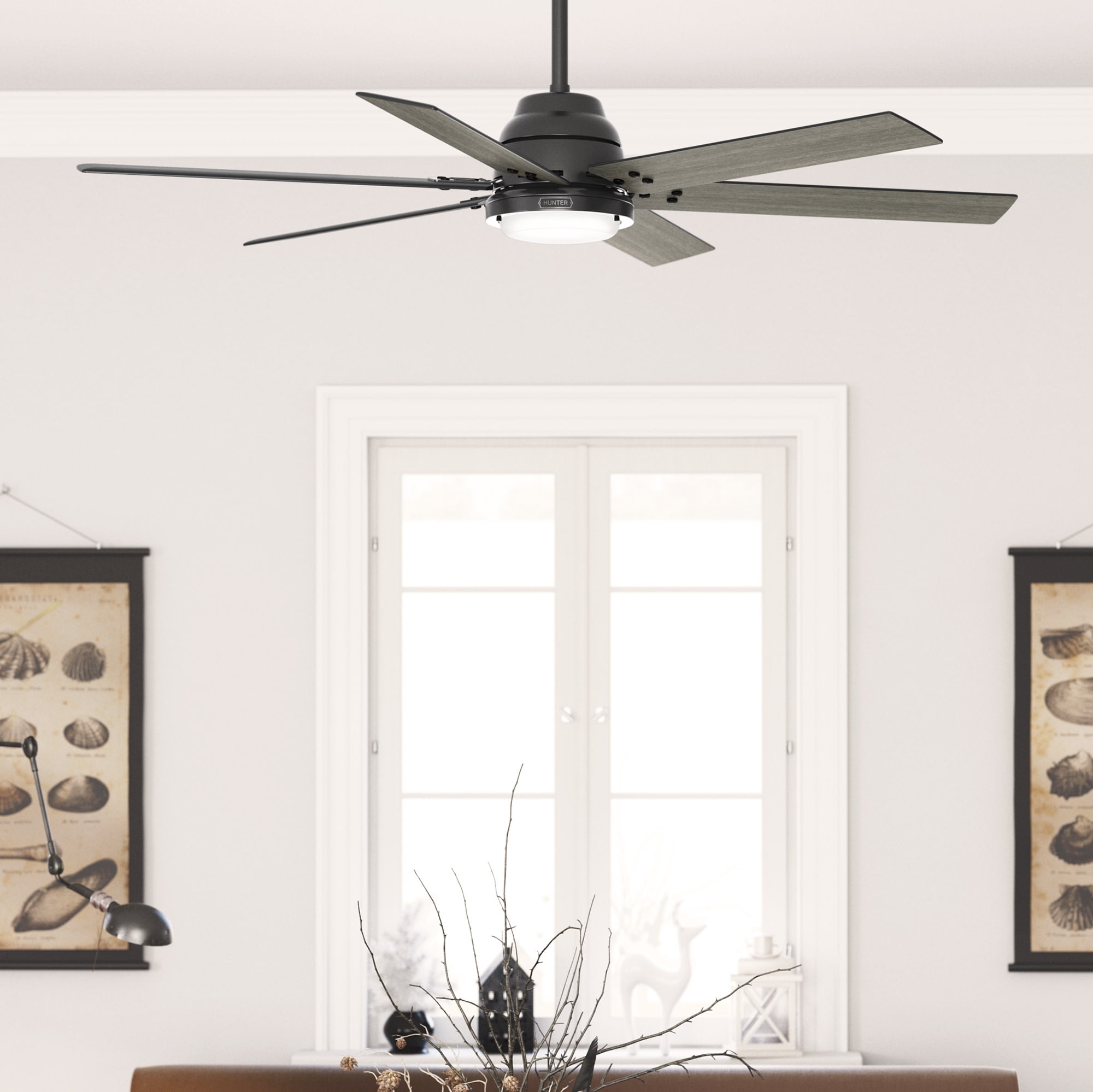 Hunter 60 Ceiling Fans Shelly Lighting