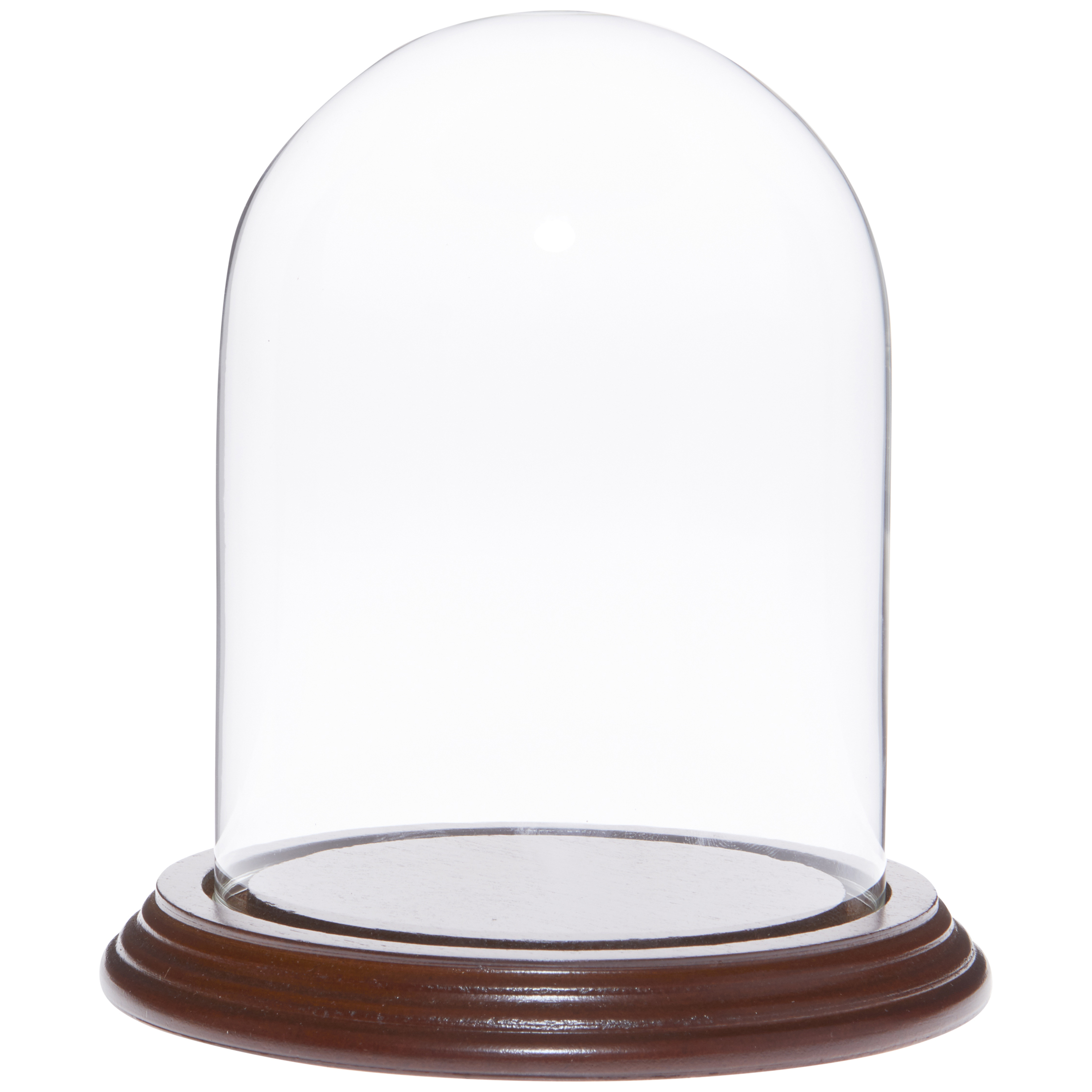 Plymor 4" x 5.5" Glass Display Dome Cloche