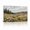 B, variant on XaaKee Rustic Meadow Art Prints Canvas Wall Art Country Landscape Wild Grasses Inner Framed 18*12Inch