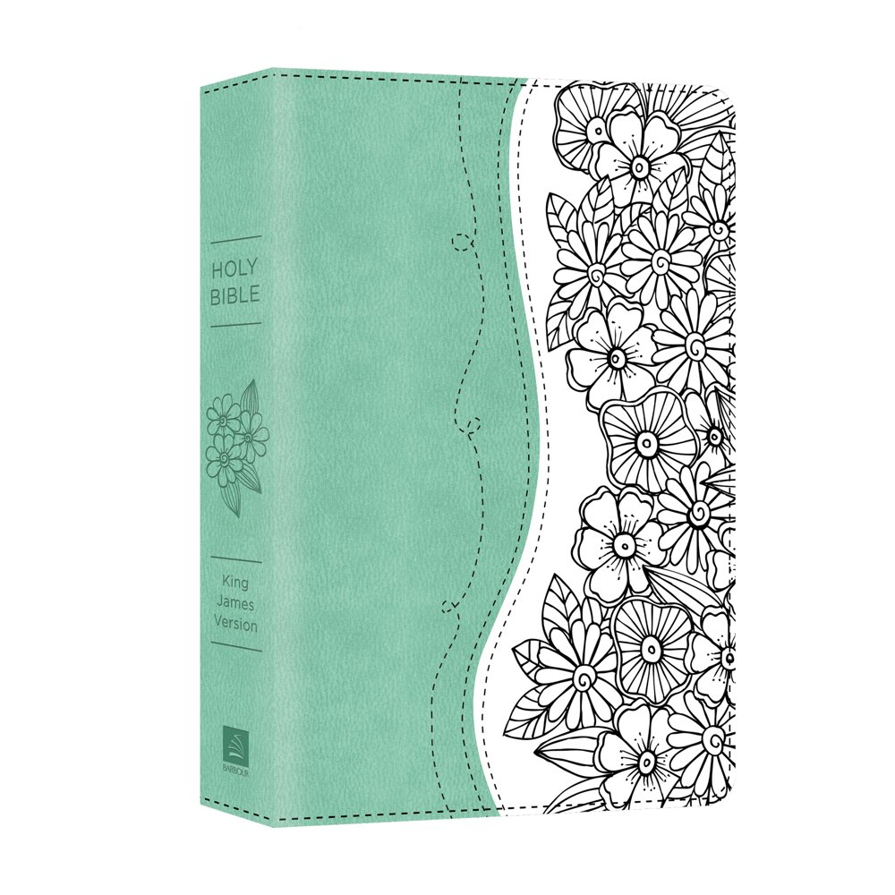 The Personal Reflections KJV Bible