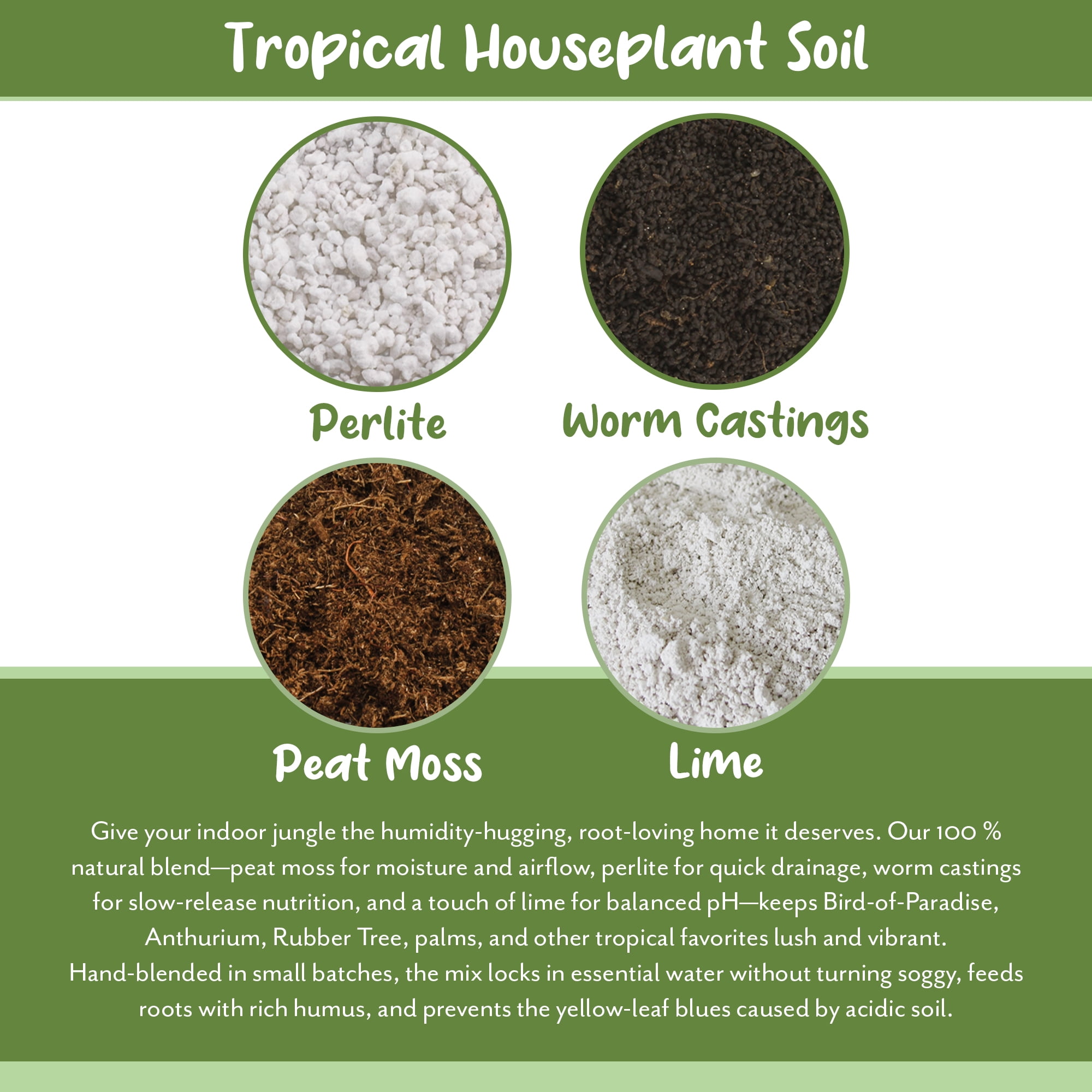 Soil Sunrise Tropical House Plant Potting Mix (12 Quarts); for All Types of Indoor House Plants