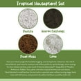 thumbnail image 5 of Tropical House Plant Potting Mix (2 Quarts); for All Types of Indoor House Plants, 5 of 9