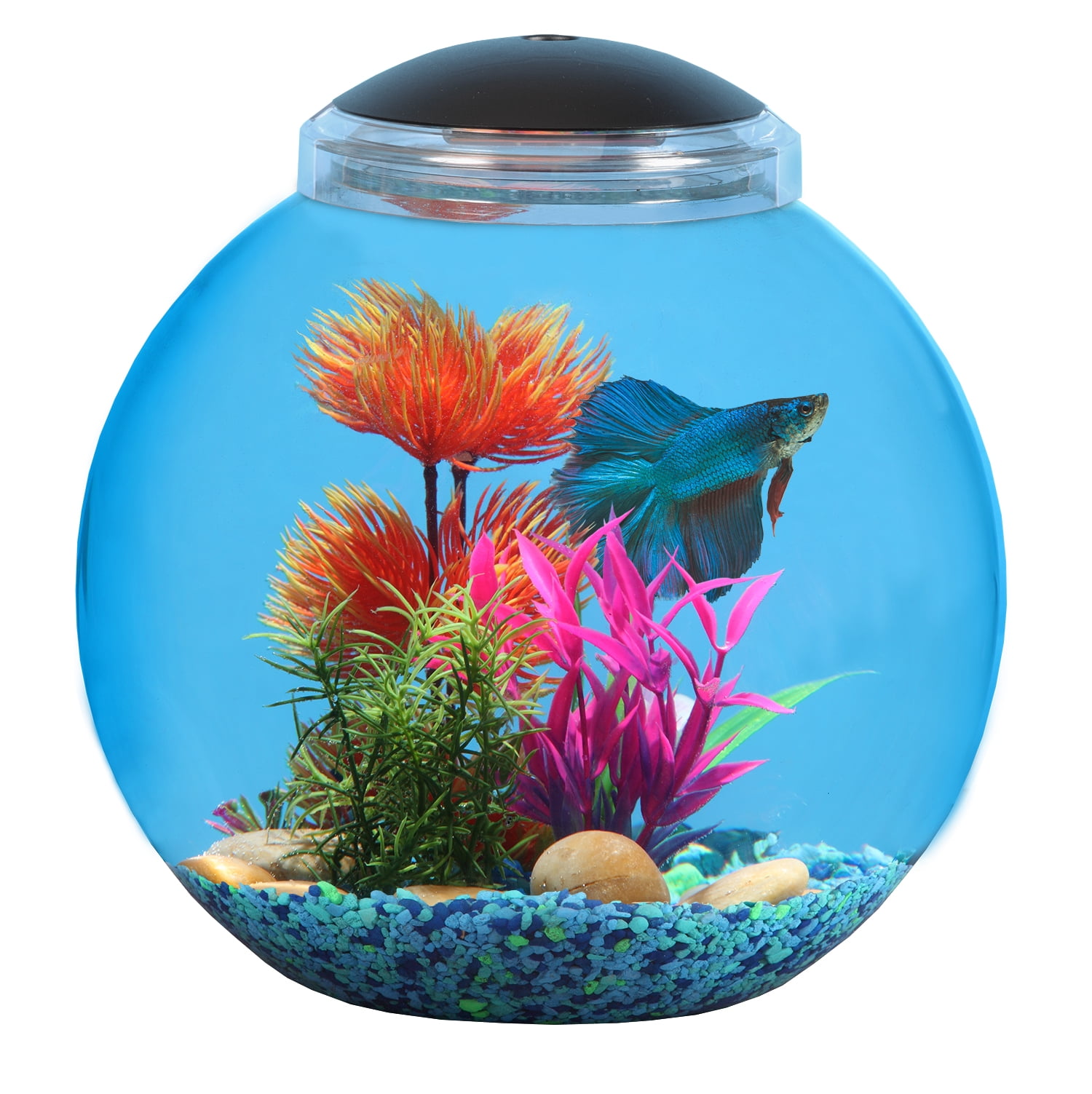 fish bowl light fish bowl light