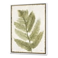 thumbnail image 1 of Simple Forest I - Floral & Botanical Framed Canvas, 1 of 3