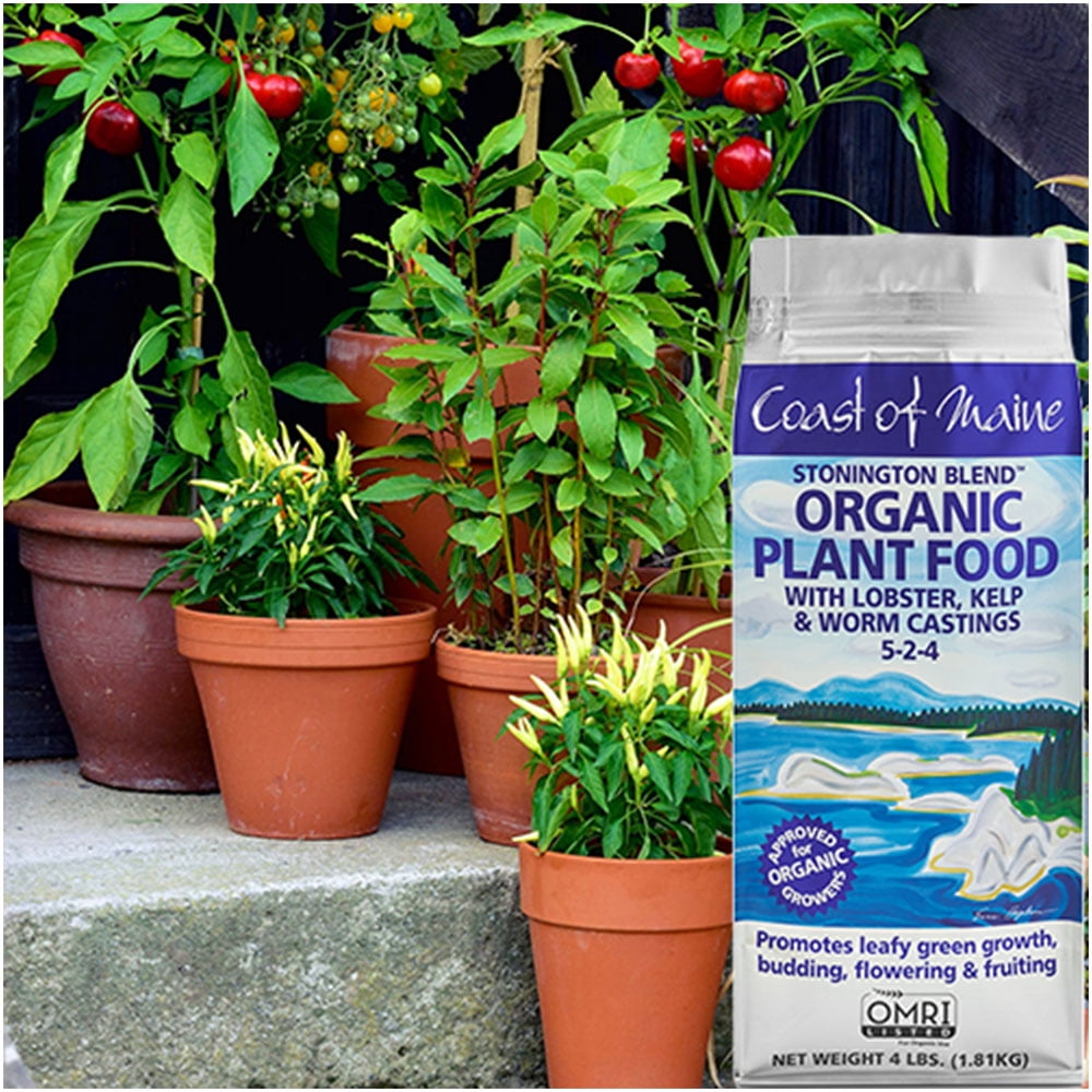Coast of Maine Organic Stonington Blend Plant Food, 4 Pound Bag (2 Pack)