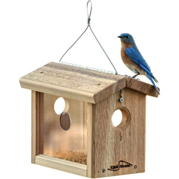 UlaREYoy Cedar Hanging Bluebird Mealworm Feeder