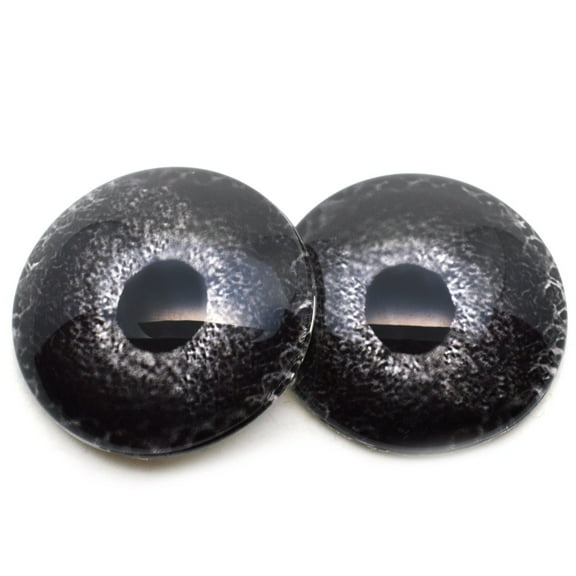 Black Bird Glass Eyes