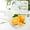 Yellow, variant on Shallow Pet Food Bowl, Wide Whisker Friendly Feeding Dish, Anti Whisker Fatigue Design For Cats And Small Pets, Lightweight Durable Plastic Feeding Tray For Wet And Dry Food Easy Clean