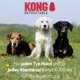 thumbnail image 5 of Correa retráctil para perros KONG Ultimate Alcott extra grande azul, 5 of 8