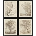 thumbnail image 2 of PixonSign Framed Wall Art Sketch Antique Tree Vintage Landscape Prints, Set of 4 Nature Wilderness Paintings, Minimalism Wall Décor, Adhesive Canvas Poster for Home Decor - 11"x14" Black, 2 of 5