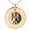 Rose, variant on Stainless Steel Janus Greek God of Beginnings Engraved Small Medallion Circle Charm Pendant Necklace