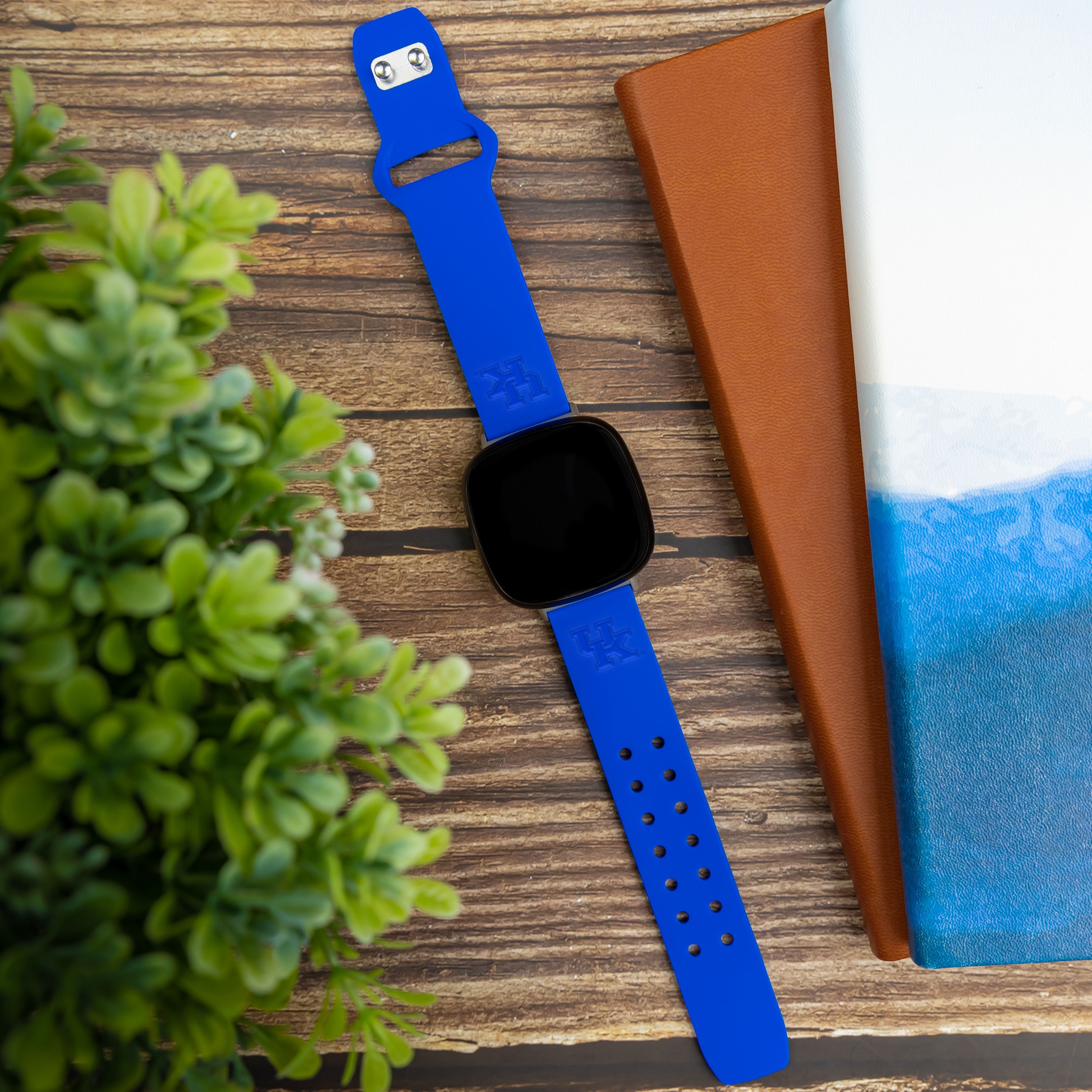 Kentucky Engraved Silicone Unisex Watch Band for Fitbit Versa 3 and Sense (Blue) by Affinity Bands