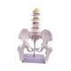 thumbnail image 4 of Modelo de pelvis femenina, equipo educativo práctico profesional, esqueleto femenino. Estilo B, 4 of 9