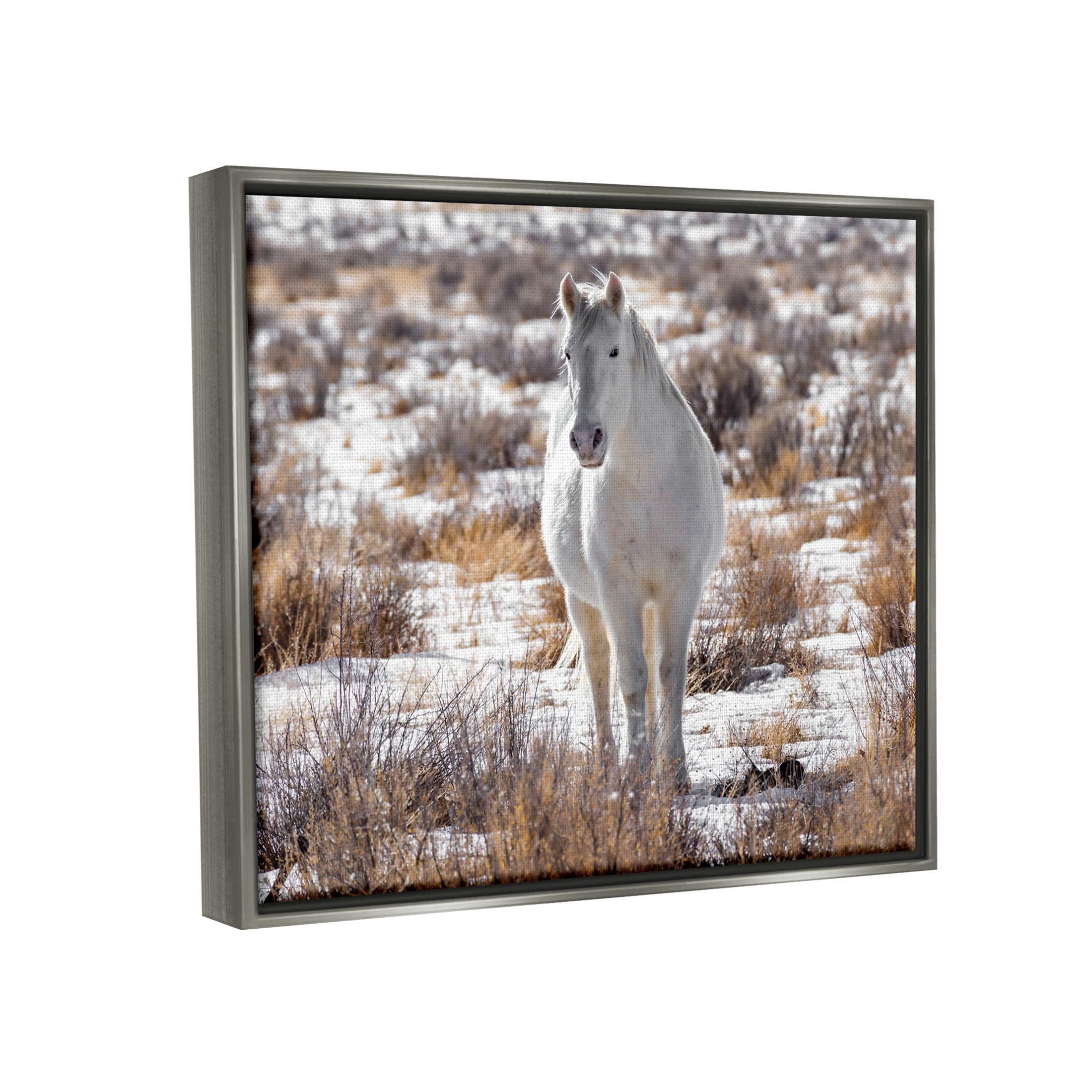 Winter Snow Horse Wildlife Animals & Insects Photograph Luster Gray Framed Art Print Wall Art