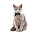 thumbnail image 6 of Pets Dog for Cat Bow Tie Pet Costume Necktie Collar for Small Dogs Puppy Grooming Accessories Easy to Adjust Safe Materi, 6 of 11
