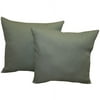 2 - Seafoam 16x16 Pillows