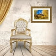 thumbnail image 3 of Perry, William 24x17 Gold Ornate Wood Framed with Double Matting Museum Art Print Titled - Colorful yellow cottonwood trees-Canyonlands National Park-Needles District-Utah, 3 of 4