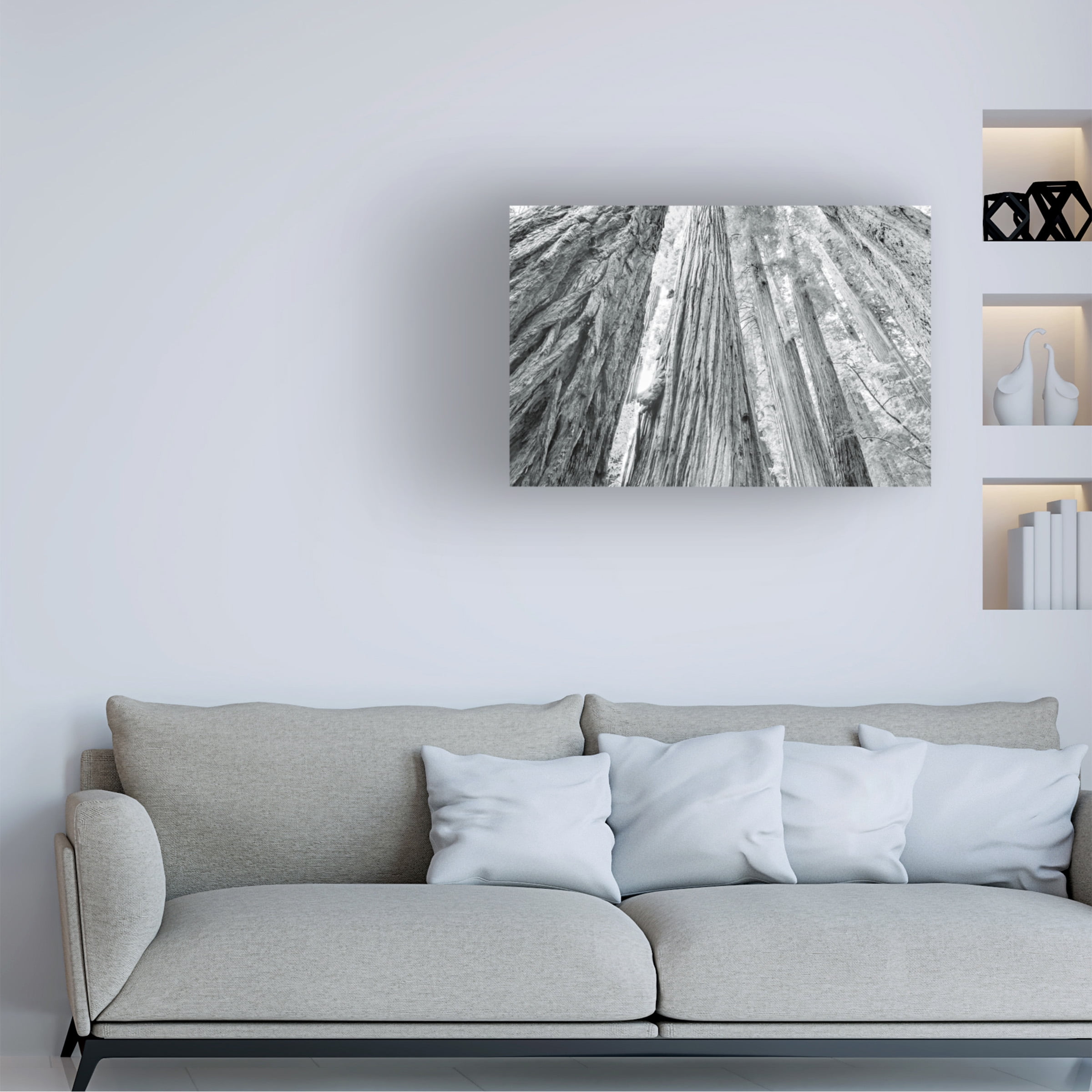 Alan Majchrowicz 'Redwoods Forest IV BW' Canvas Art