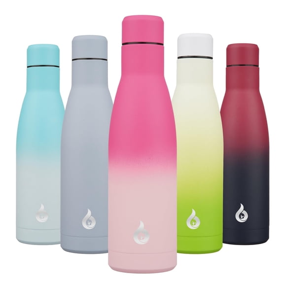 Botella de agua BJPKPK con aislamiento de acero inoxidable, 500 ml, color cereza