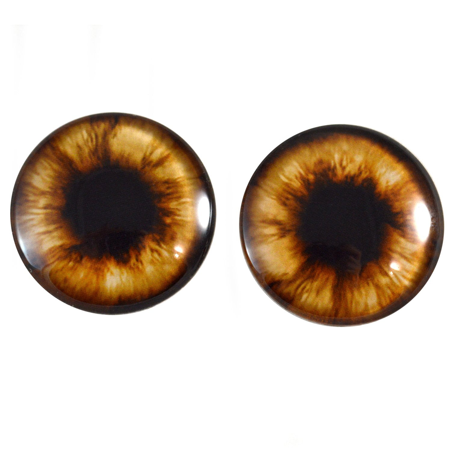 a pair vintage solid Glass Eyes size 24 mm teady bear taxidermy age 1910 Art A93 