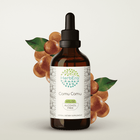 HerbEra Camu Camu Tincture, Herbal Dietary Supplement for Antioxidant Support, Camu Camu (Myrciaria dubia) Dried Fruit Extract, Natural, Alcohol-Free, Drops 4 oz
