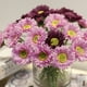 thumbnail image 5 of 10 piezas de flores artificiales Bearachild Gerbera decoración hogar jardín Azul oscuro, 5 of 6