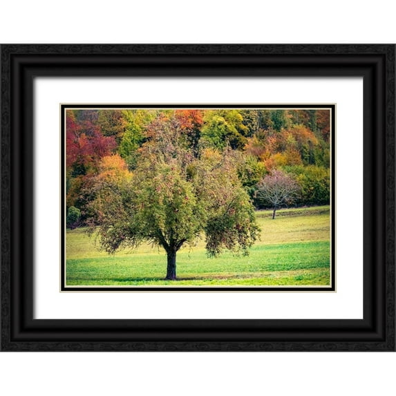 Murdock, Ramona 18x13 Black Ornate Wood Framed with Double Matting Museum Art Print Titled - Tree in the Pasture