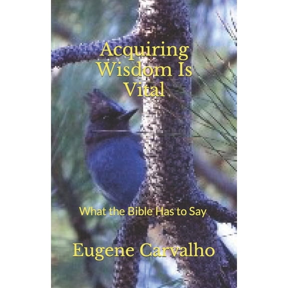 Acquiring Wisdom Is Vital : What the Bible Has to Say (Paperback)