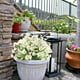 thumbnail image 4 of 6 piezas de margaritas artificiales, follaje falso para exteriores, plantas de imitación para ventana, hogar, boda, decoración de oficina, 4 of 7