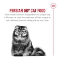thumbnail image 4 of Nutrition Santé pour Races Félines Bengale - Nourriture Sèche pour Chats, 4 of 5