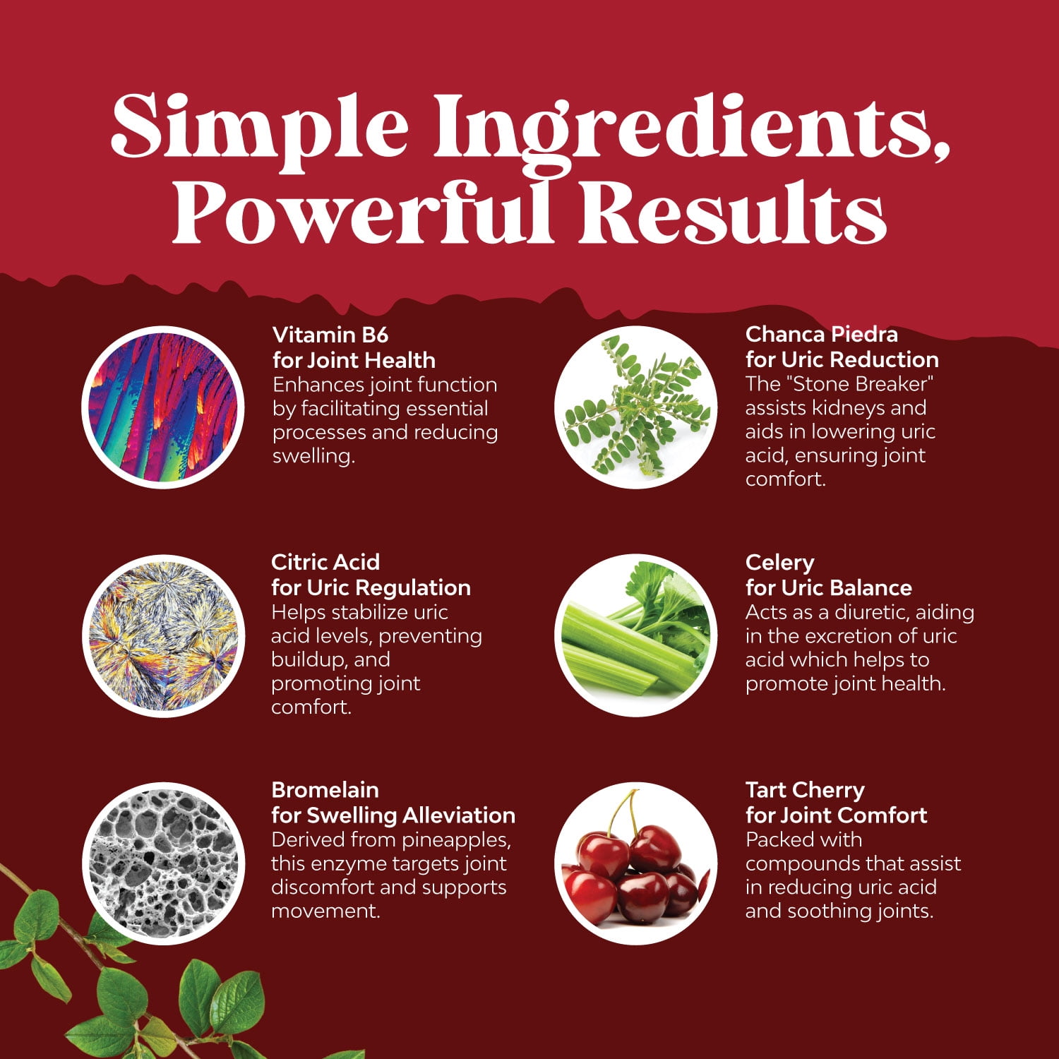 Natures Craft Uric Acid Cleanse and Detox Capsules with Tart Cherry and Celery Seed, 60 Count