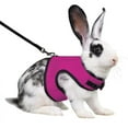 thumbnail image 2 of Bunny Rabbit Harness with Leash Cute Adjustable Buckle Breathable Mesh Vest Harness and Leash Set for Kitten Small Pets Bunnies Walking, 2 of 8