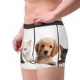 thumbnail image 3 of KLL Cute Kittens And Puppy Men's Cotton Boxer Briefs Underwear-Small, 3 of 7