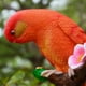 thumbnail image 5 of Adorno de animales artificiales Resina Budgericar Pájaro Estatuilla Juguete Artesanal rojo, 5 of 9