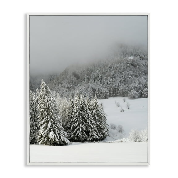 Winter Snowscape Woodland Trees White Framed Giclee Art, 24 x 30, Made In USA