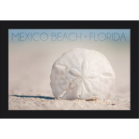 Mexico Beach, Florida - Sand Dollar - Lantern Press Photography (18x12 Giclee Art Print, Gallery Framed, Black Wood)