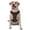 With Accessories, variant on Vsdgher Brown Moroccan Trellis Pattern Dog Harness,No Pull Pet Harness with Soft Padded Handle,Adjustable Reflective Vest with 2 Buckles,4 Slide Buckles,S-XL Large